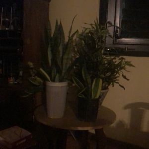 Meet your Posher, Margarita